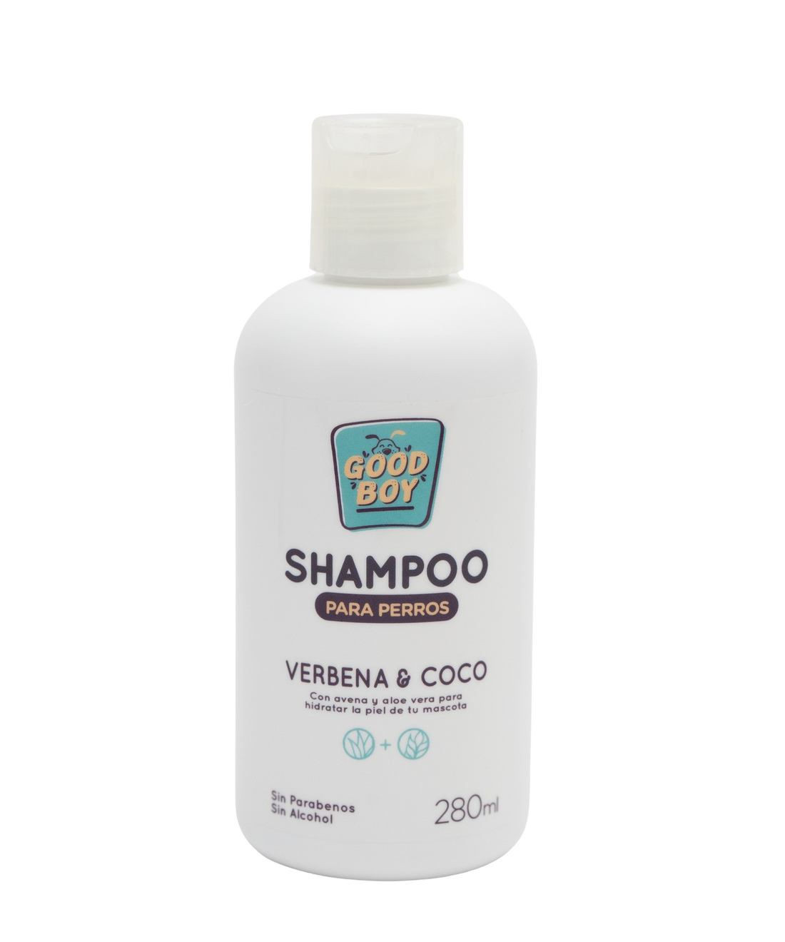 Shampoo Regular